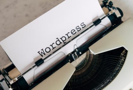 introduction of wordpress